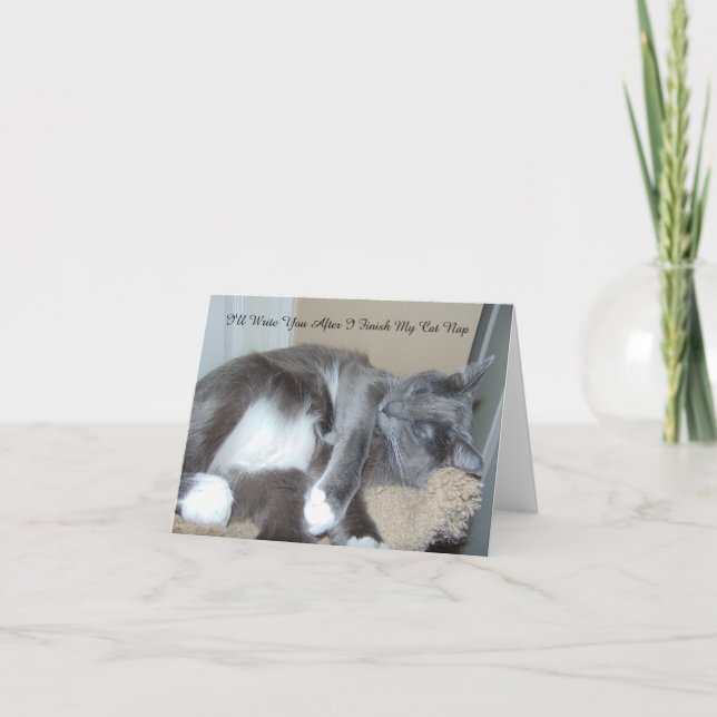 Carte de petit somme de chat (Devant)