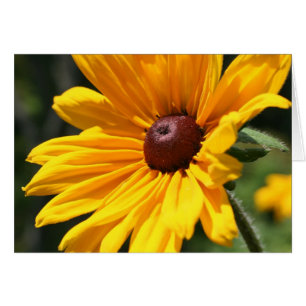 Carte de photographie à fleur Susan à l'oeil noir