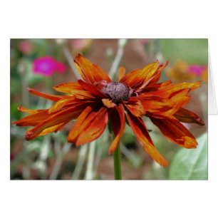 Carte de photographie à fleurs Susan Orange Black