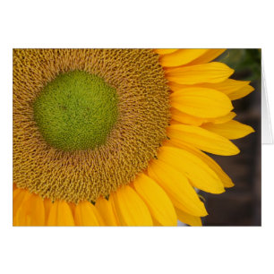 Carte de photographie de fleur de pétales de