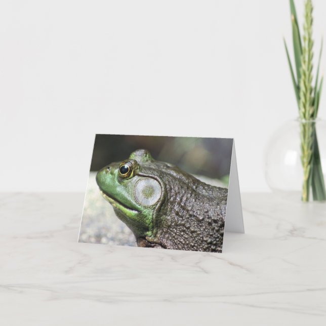 Carte de photographie de nature Pensées de grenoui (Devant)