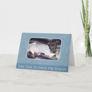 Carte de Pitbull de vacances