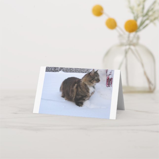 Carte De Placement chat des forêts norvégiennes dans la neige (Devant)