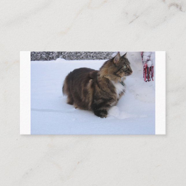 Carte De Placement chat des forêts norvégiennes dans la neige (Devant)
