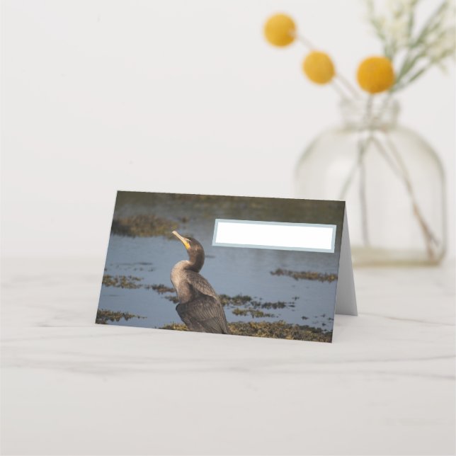 Carte De Placement Cormoran à double crête (Devant)