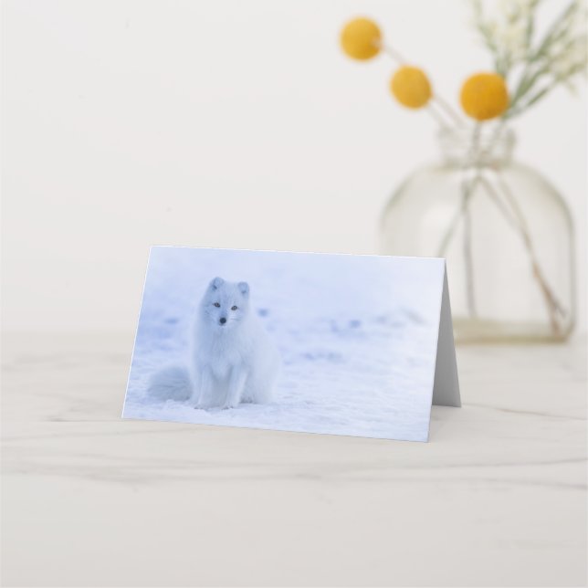 Carte De Placement Cute Arctic Fox sur Snowy Winter Arrière - plan (Devant)