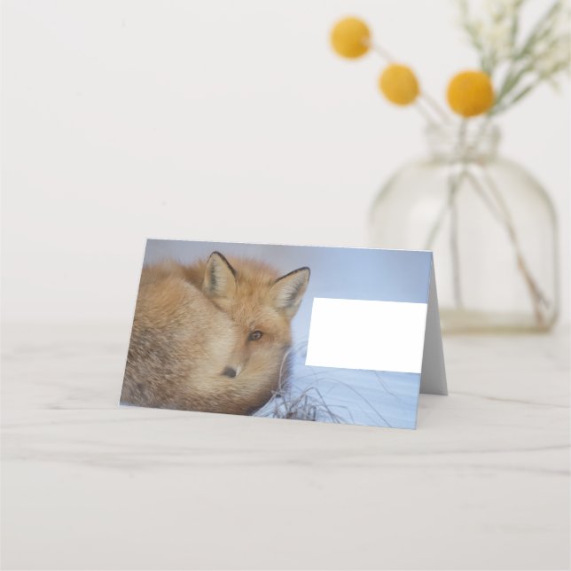 Carte De Placement Cute Little Fox Curling Up Winter Photo (Devant)
