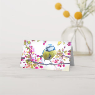 Carte De Placement Joli oiseau bleu et jaune sur une branche Photogra