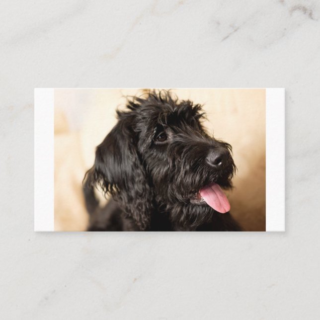 Carte De Placement Labradoodle Standard, 3,5 pouces x 2,0 pouces (Devant)