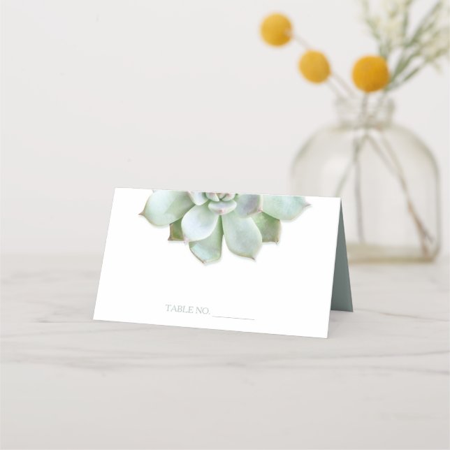 Carte De Placement Mariage de cactus Succulent du jardin (Devant)
