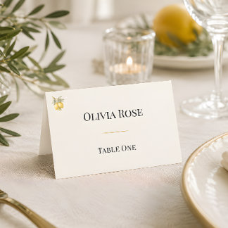 Carte De Placement Méditerranéen Italien Coastal Luxe Plié