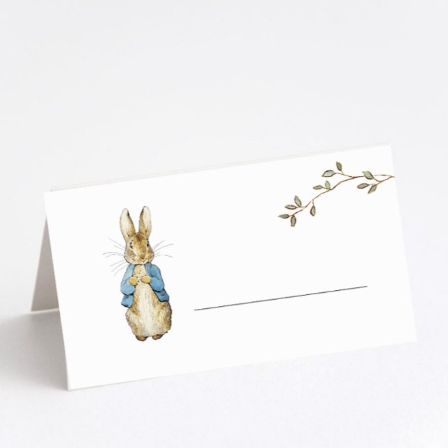 Carte De Placement Peter Rabbit Remplir (Créateur téléchargé)