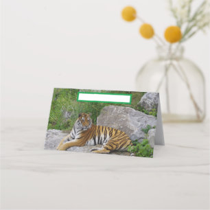 Carte De Placement Photo de portrait d'un tigre de Sibérie