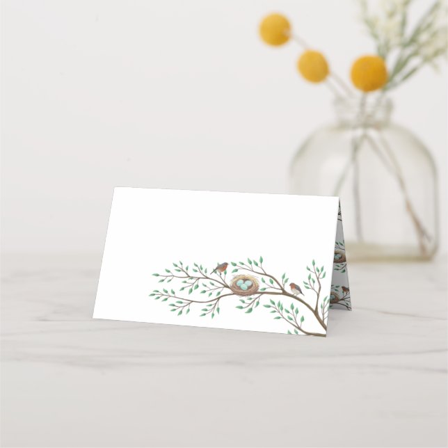Carte De Placement Robin Oiseaux Nid Oeufs Baby shower de printemps (Devant)