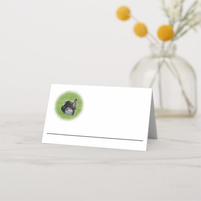 Carte De Placement Tom Turquie (Devant)