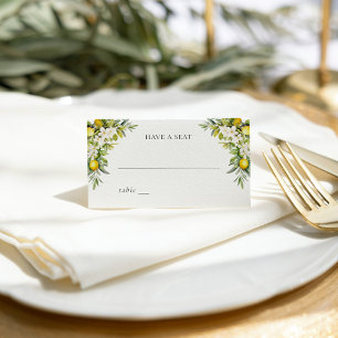 Carte De Placement Villas italiennes citrons et olives
