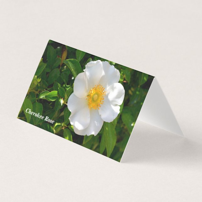 Carte de pliage Cherokee Rose (Front)