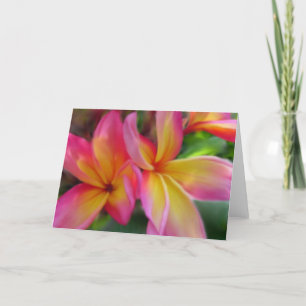 Carte de Plumeria