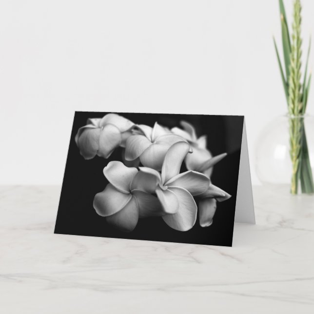 Carte de Plumeria (Devant)