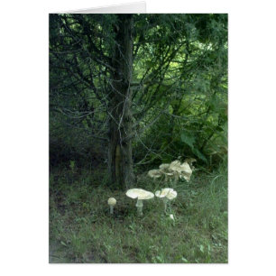 Carte de poème de beauté de champignon