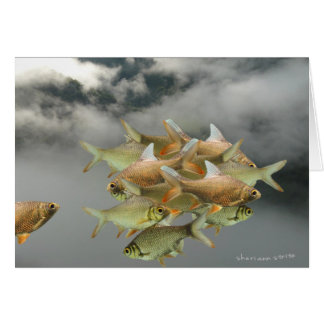 Carte de poisson et de brouillard