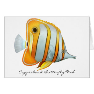 Carte de poissons de papillon de Copperband de