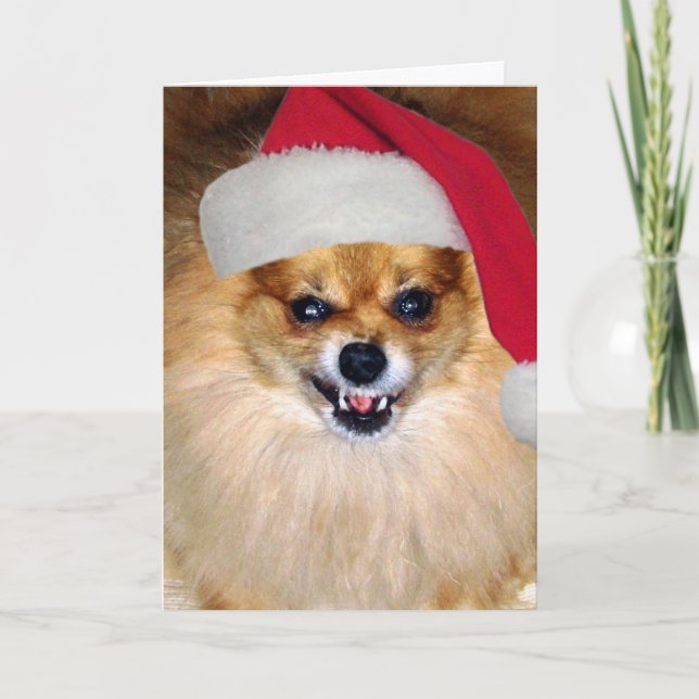 Carte de Pomeranian Père Noël de "Joyeux Noël (Devant)