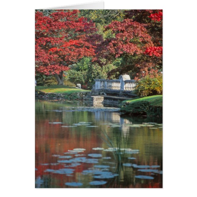 Carte de pont en pierre (Devant)