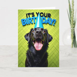 Carte de portrait d'anniversaire à fourrure noire