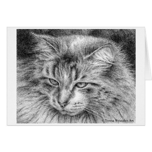 Carte de portrait de chat duveteux dessinée au sty (Devant horizontal)
