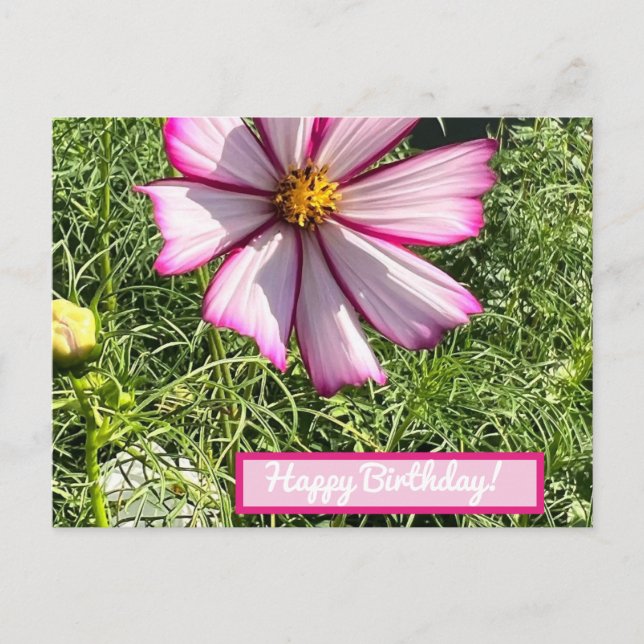 Carte de poste de fleurs Cosmo rose, Joyeux annive (Devant)