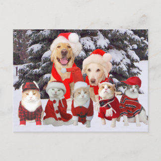 Carte de poste de Noël pour animal de compagnie Fu