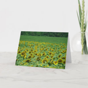 Carte de prairie de tournesols