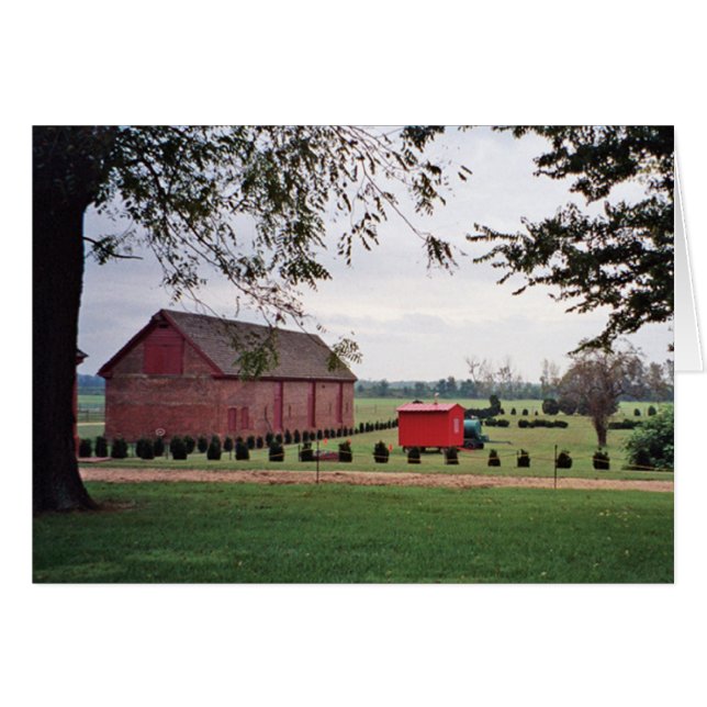 Carte de pré de plantation (Devant horizontal)