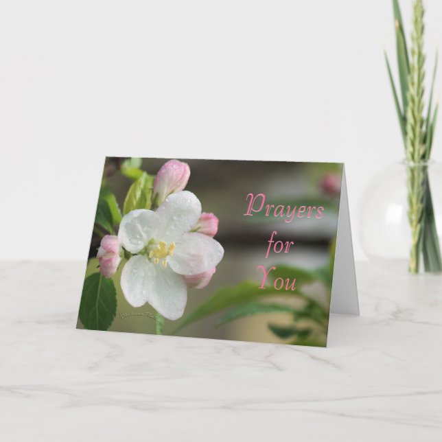 Carte de prière Apple Blossom - ou pour toute occa (Devant)