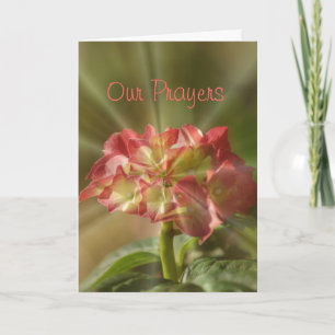 Carte de prière Hydrangea ou toute occasion