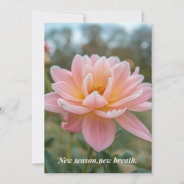 Carte de printemps (Devant)