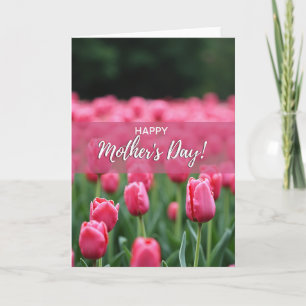 Carte de printemps aux tulipes en brouillard rose