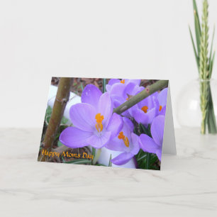 Carte de printemps de la fête des mères