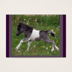 Carte de profil de cheval de bébé