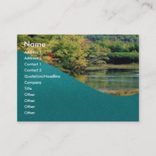 Carte de profil de solde