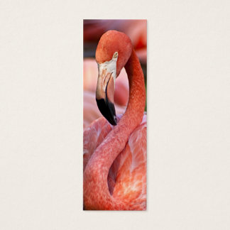 Carte de profil Flamant rose