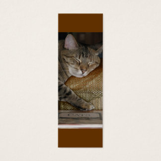 Carte de profil Kitty Sleep