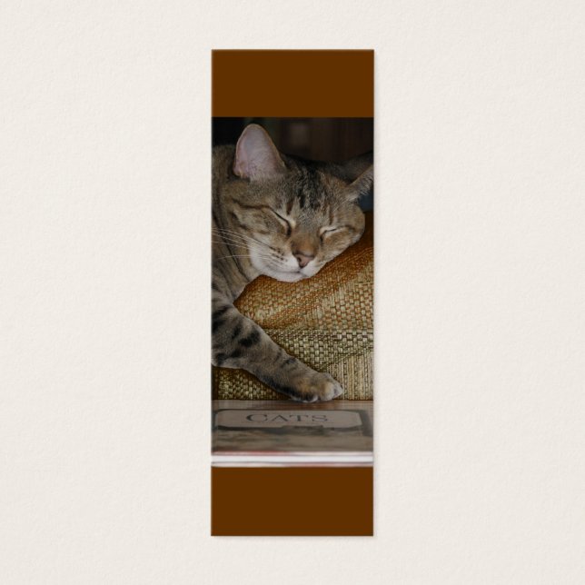 Carte de profil Kitty Sleep (Devant)