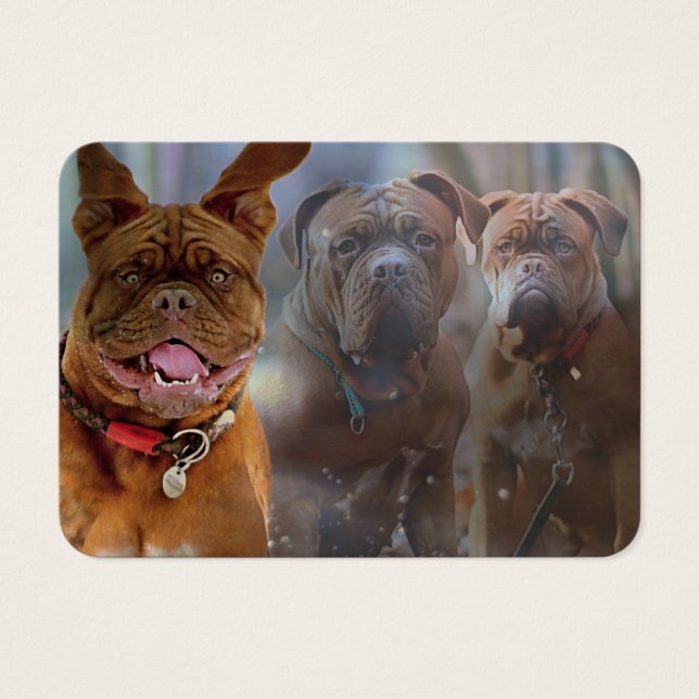 Carte de profil Mastiff Plus (Devant)