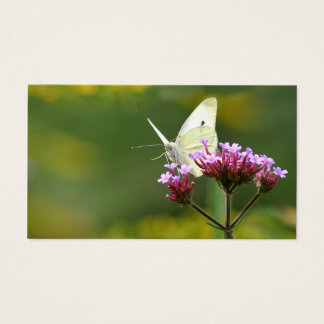 Carte de profil papillon
