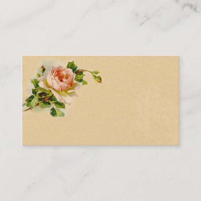 Carte de profil professionnelle Vintage Rose Rose (Devant)