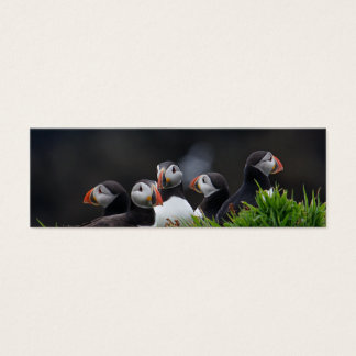 Carte de profil Puffin Gang