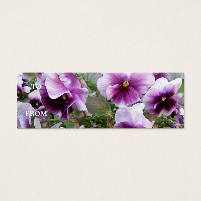 Carte de profil Purple Pansy (Devant)