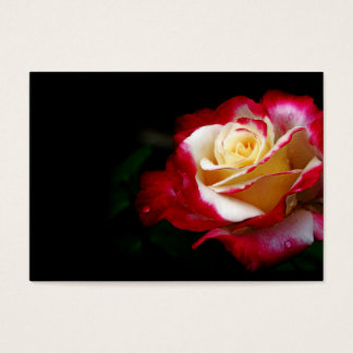 Carte de profil rose